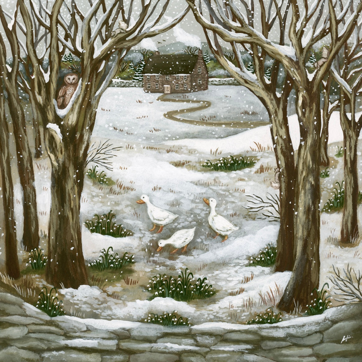 Snowdrops- Fine Art Print