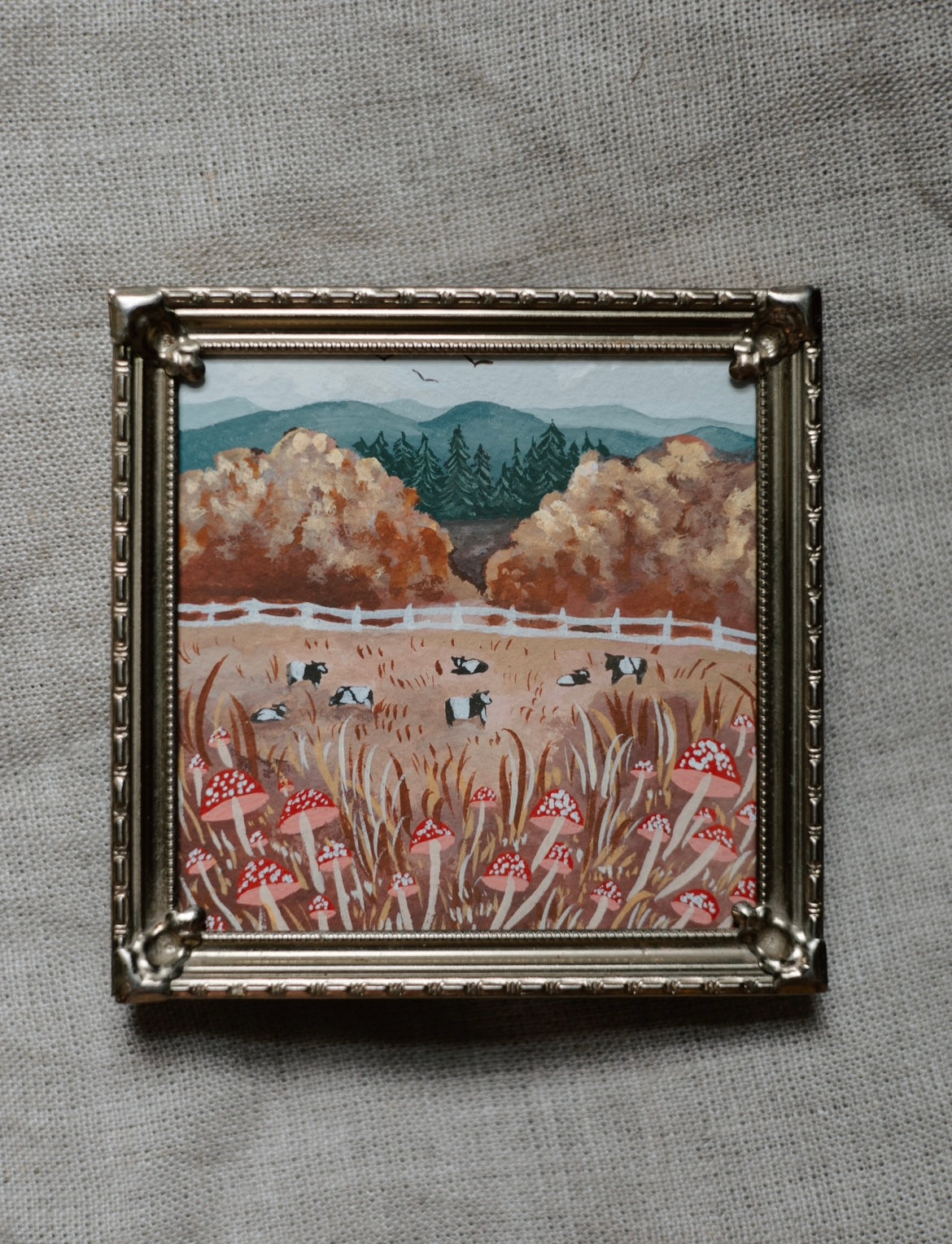 MINI - The Cow Pasture