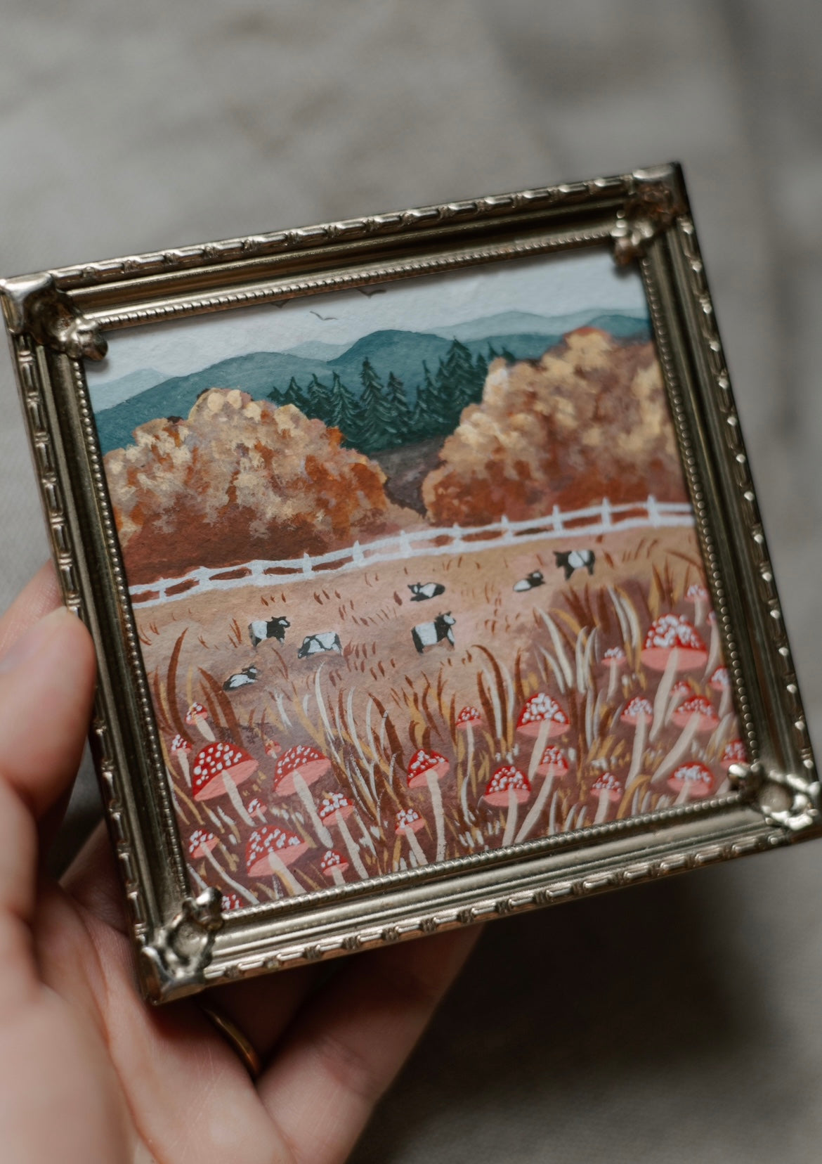 MINI - The Cow Pasture