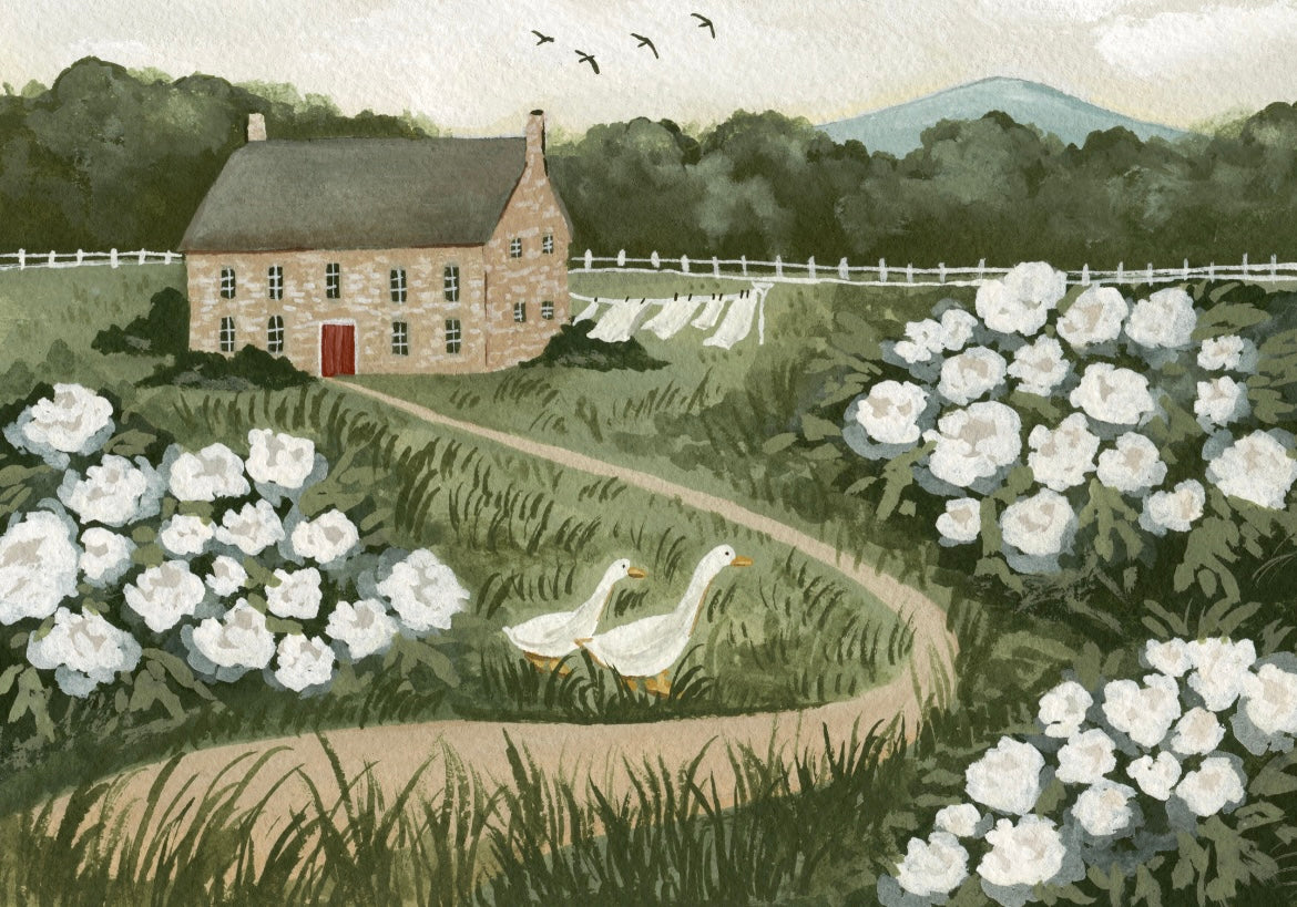 June Musings- Fine Art Print