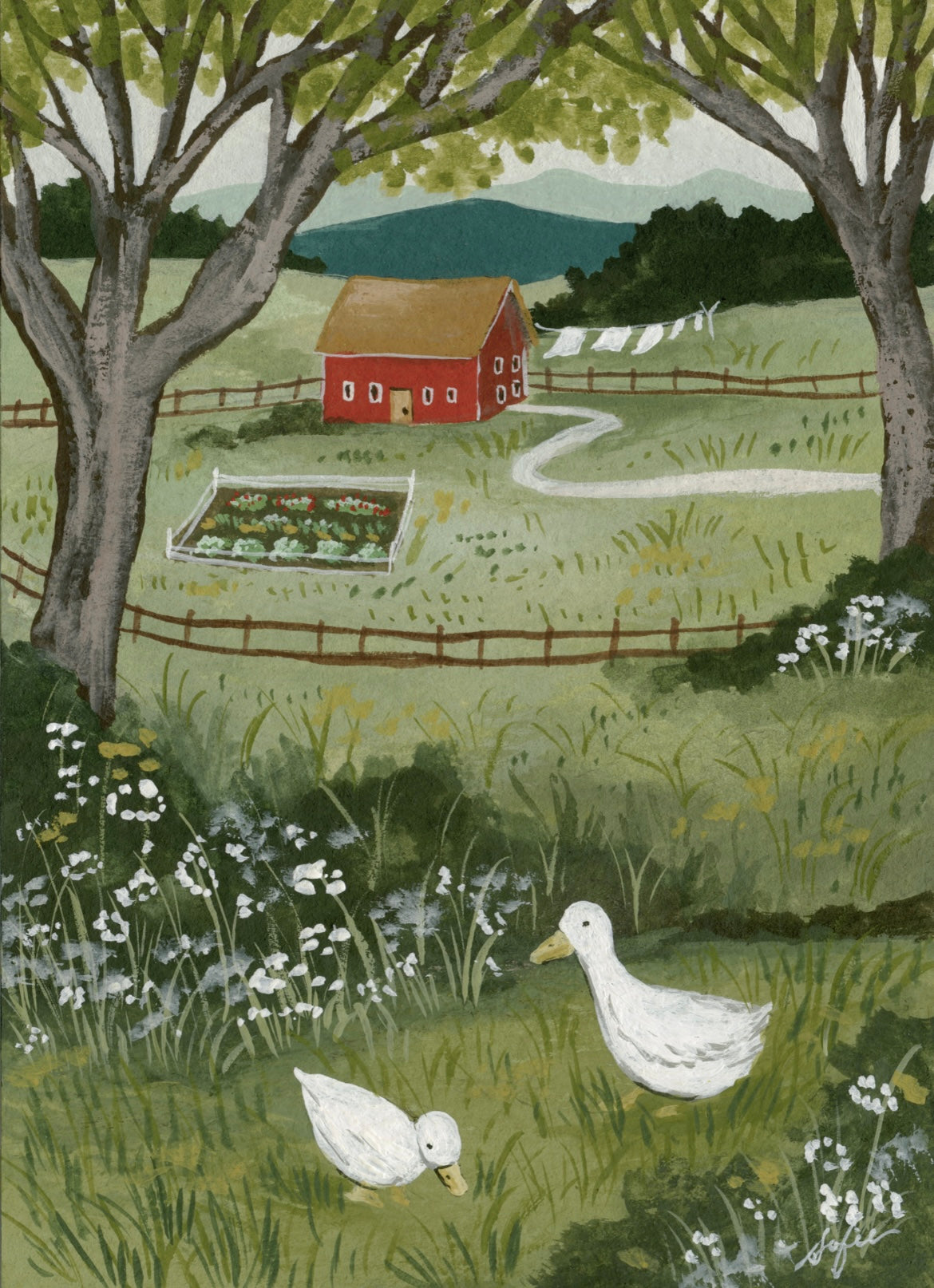 Summer Garden- Fine Art Print