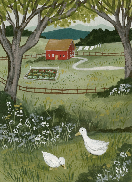 Summer Garden- Fine Art Print