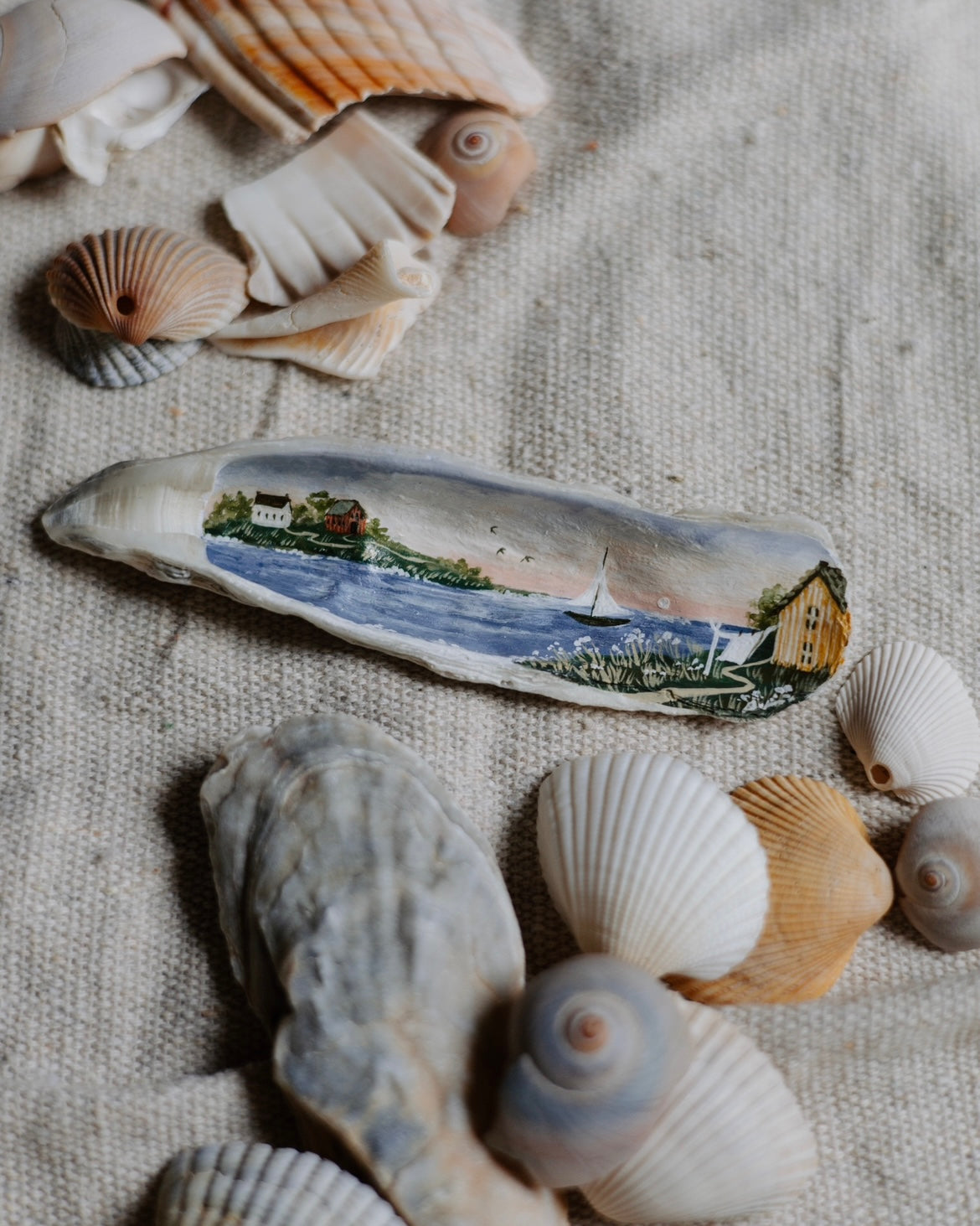 Painted Sea Shell