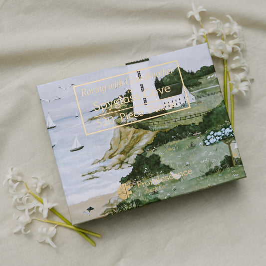 Coastal Puzzle