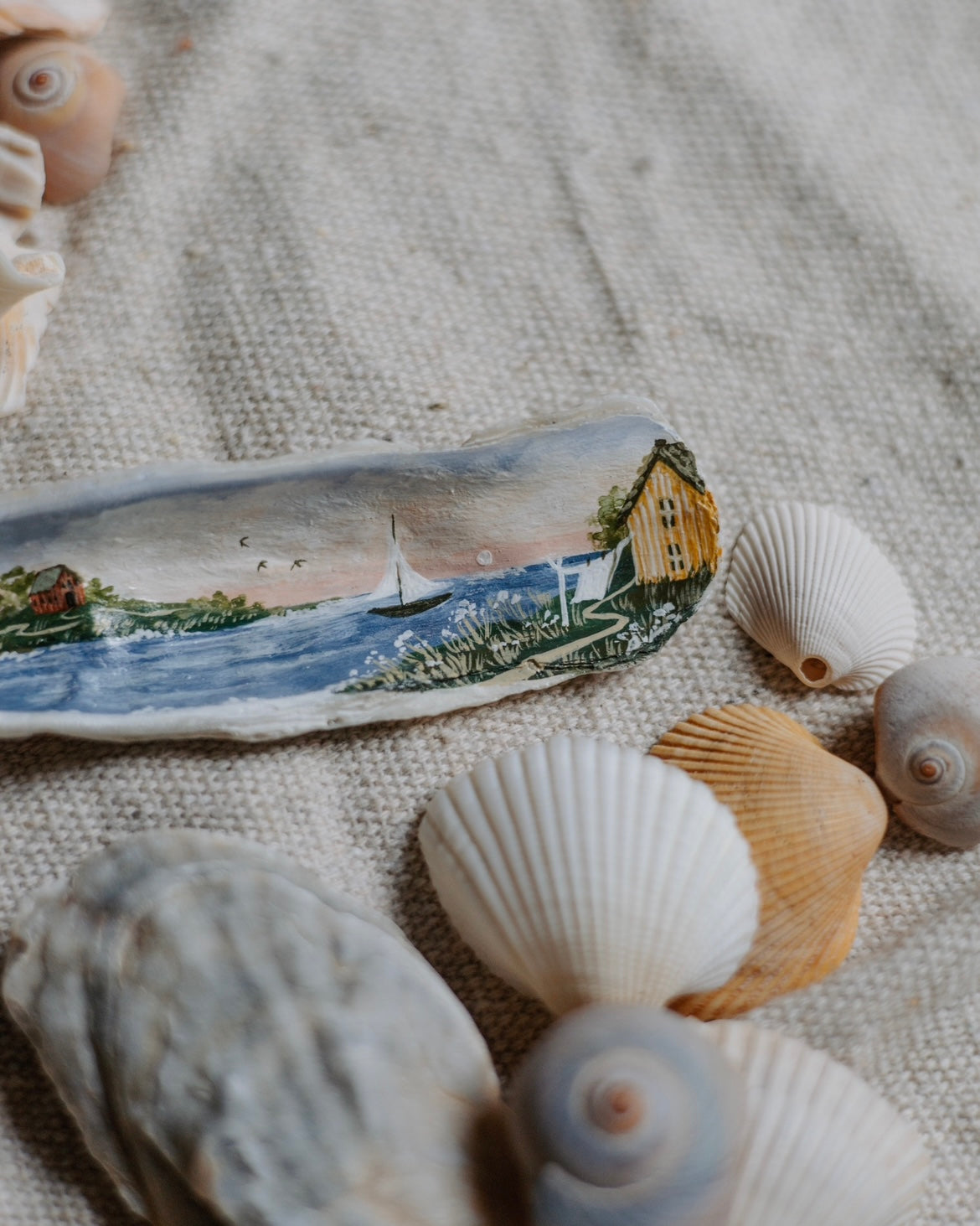 Sarah Heppner Shells Painted Sea Shell β Sofie Swetter Fine Art