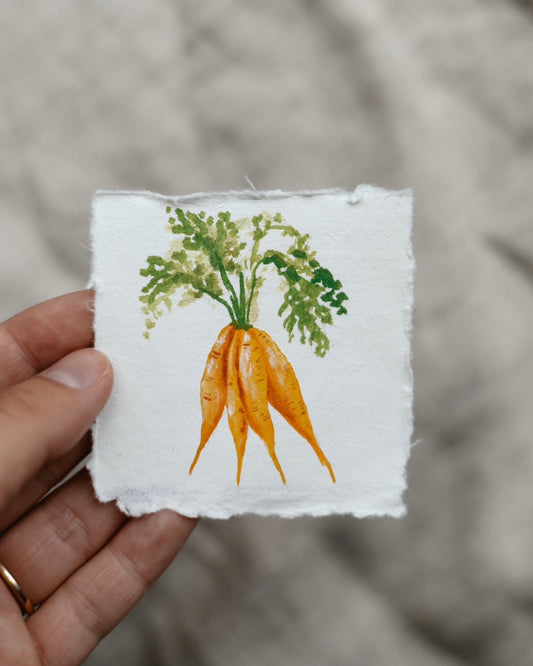 MINI- Carrots