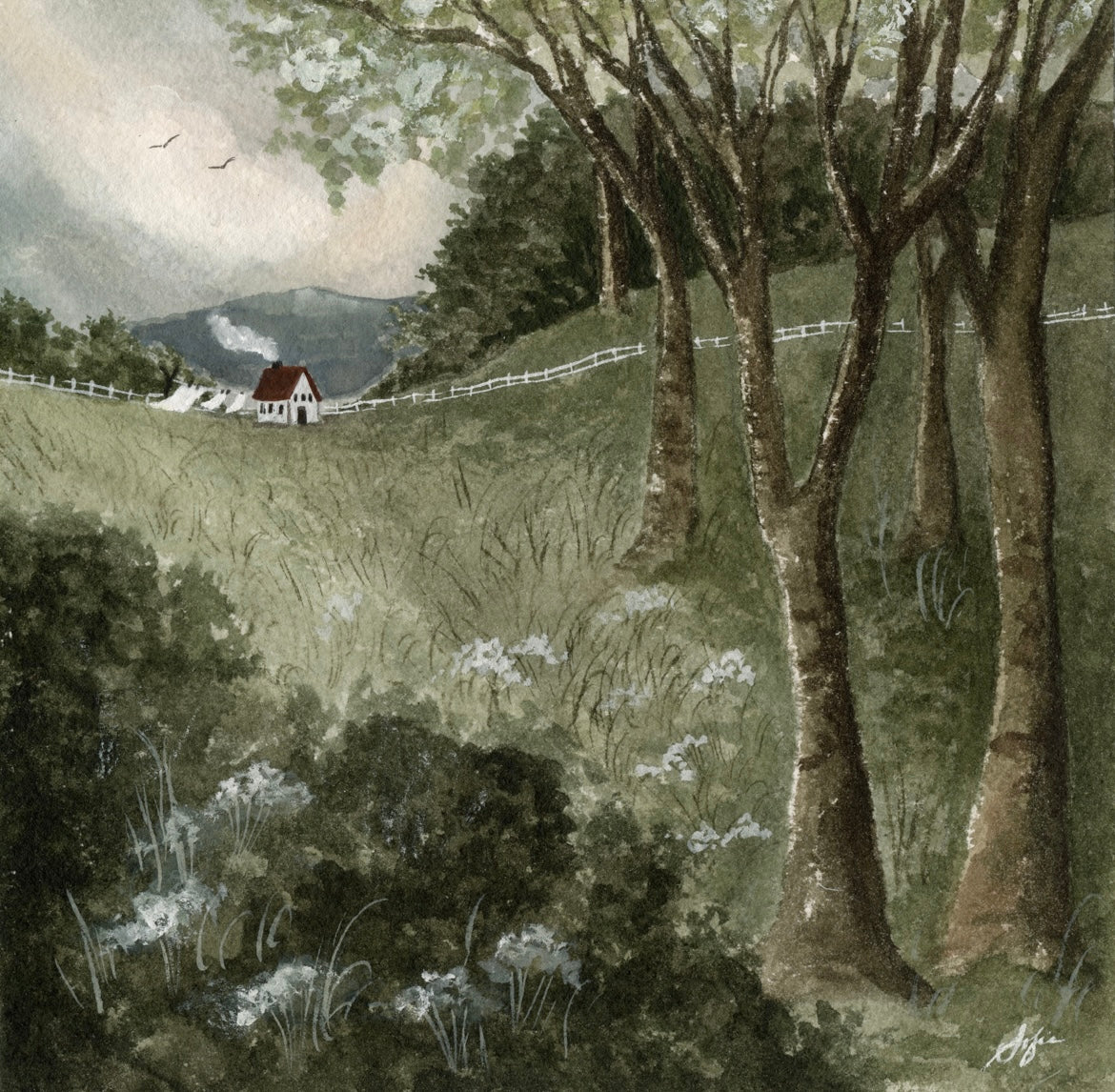 Peaceful Meadow- Fine Art Print